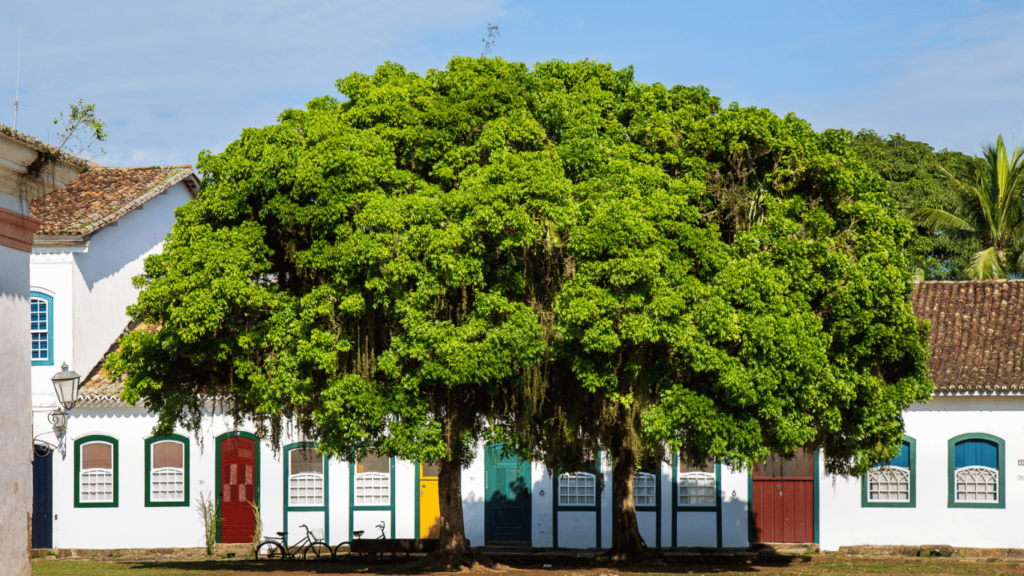 Calendário Paraty Turístico e Cultural 2024