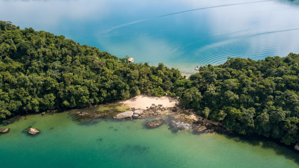 ilha da cotia paraty passeio de lancha